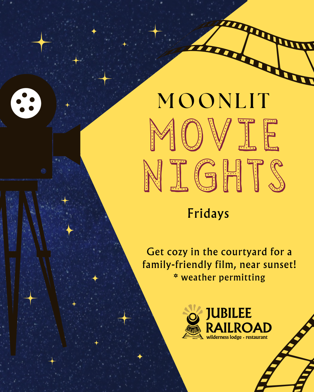 Moonlit Movie Night
