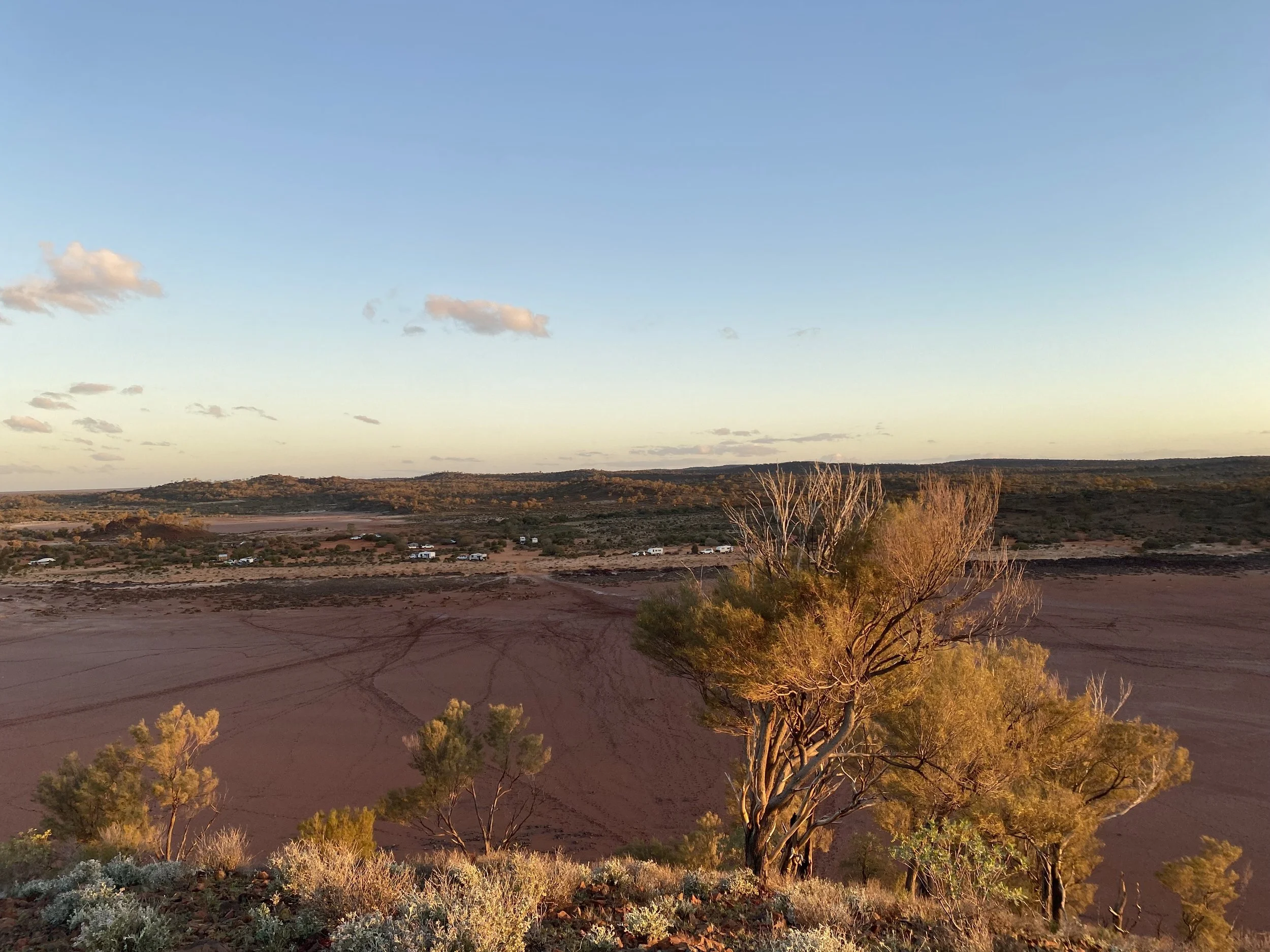 A desert landscape at sunset with a large tree in the foreground, a reddish-brown sand plain with tracks, and a distant horizon with scattered clouds in a blue sky.