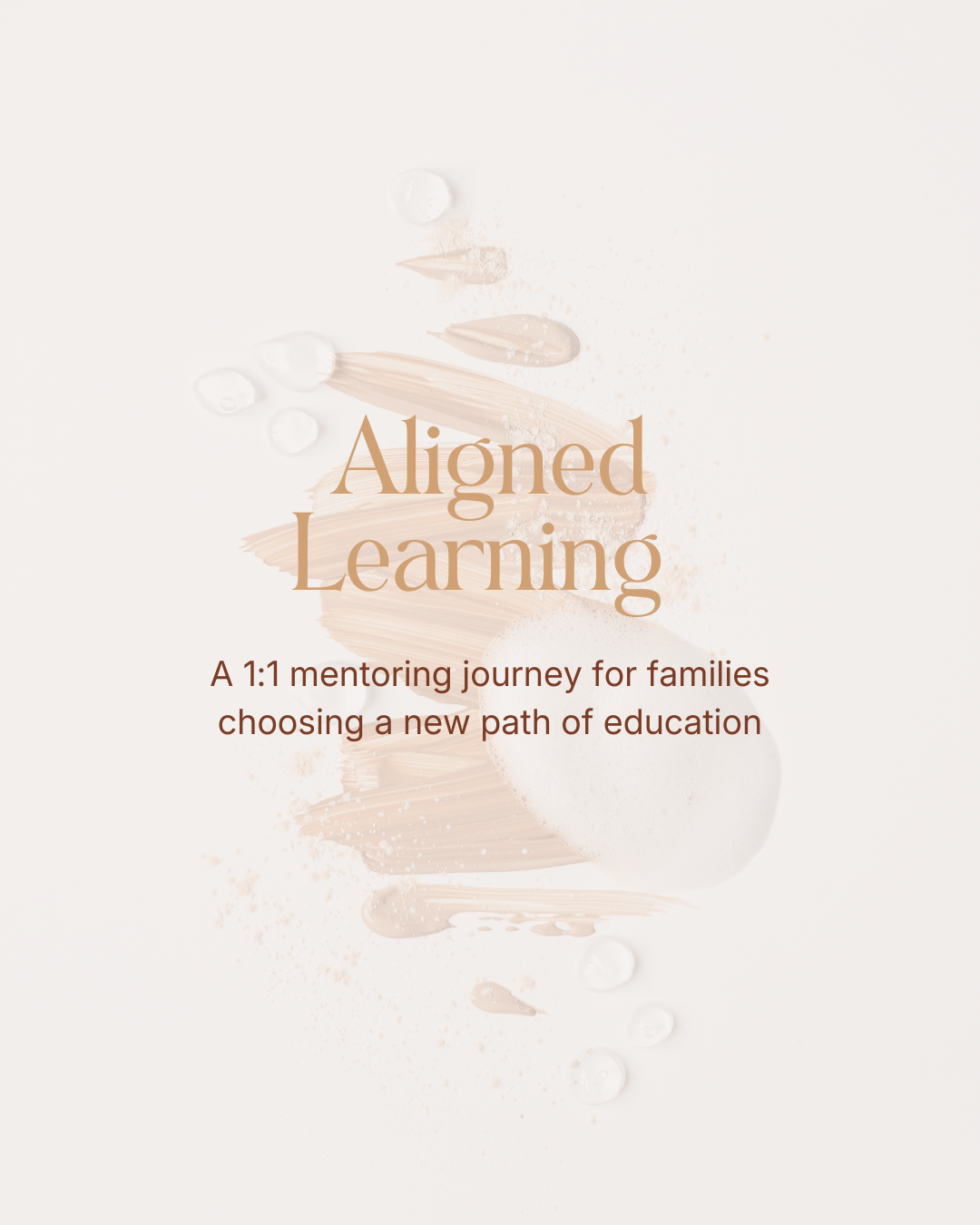 ALIGNED LEARNING | A 1:1 mentoring journey for families to choose a new path of education