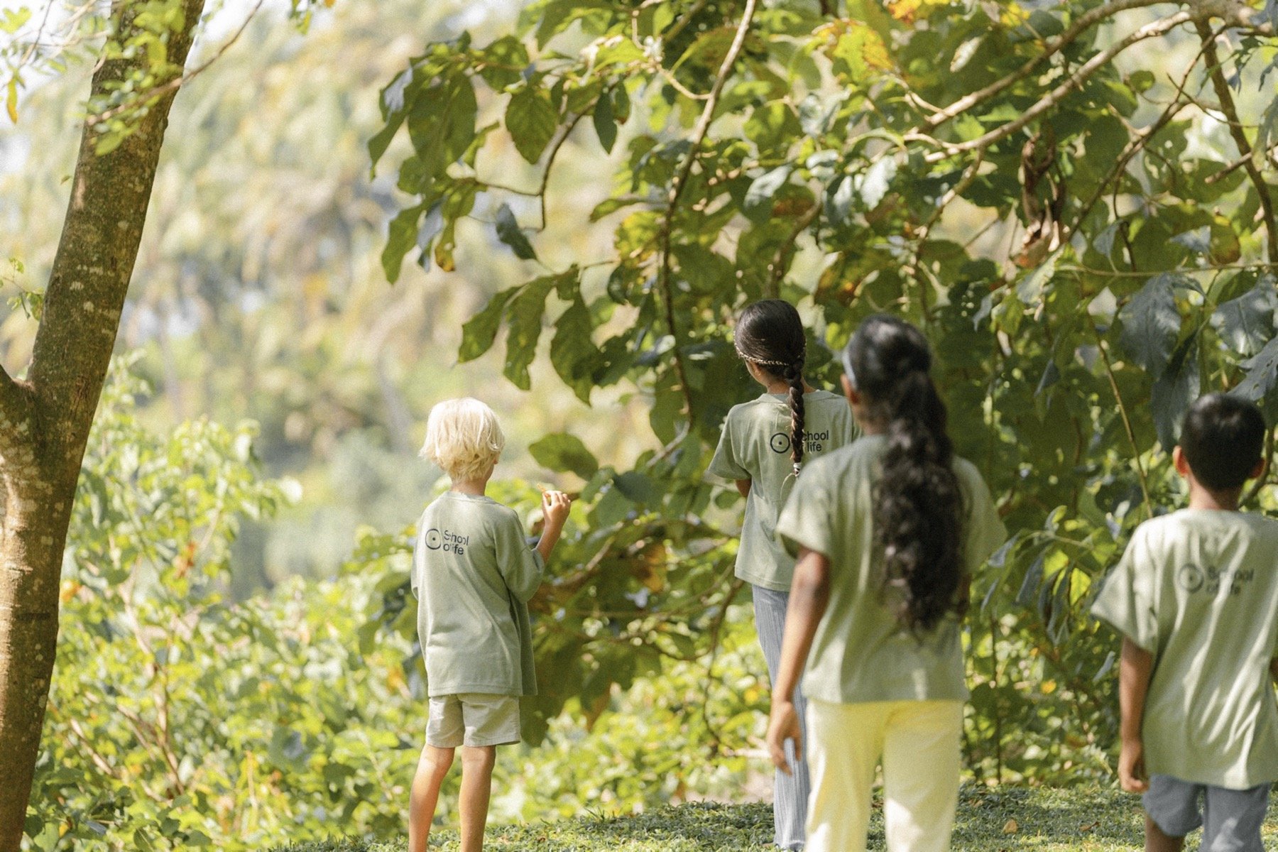 Children in green T-shirts exploring a forest area, surrounded by lush greenery.