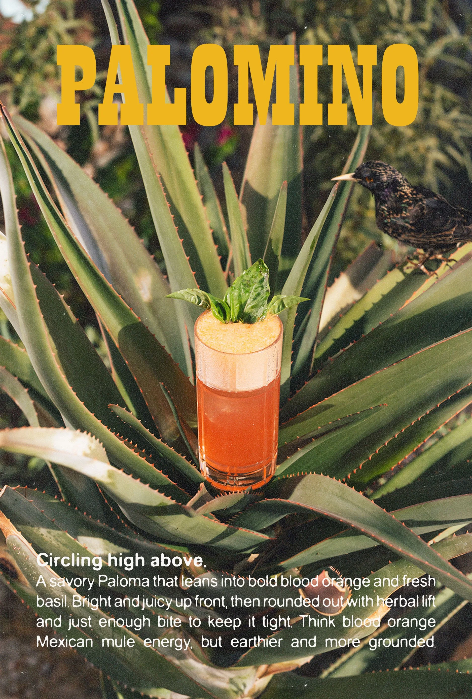 Spring bookletPAGE 8.jpg