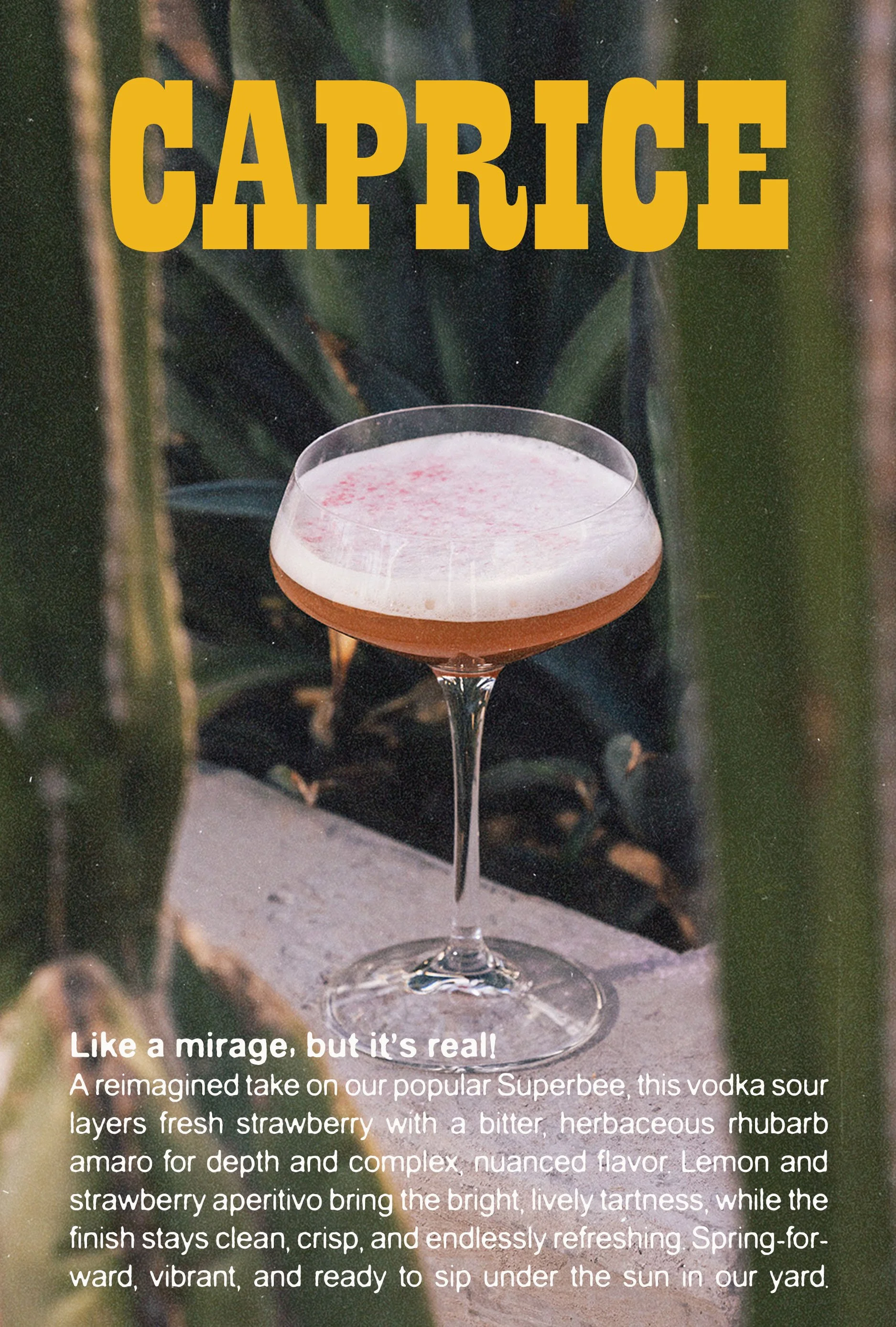 Spring bookletPAGE 4.jpg