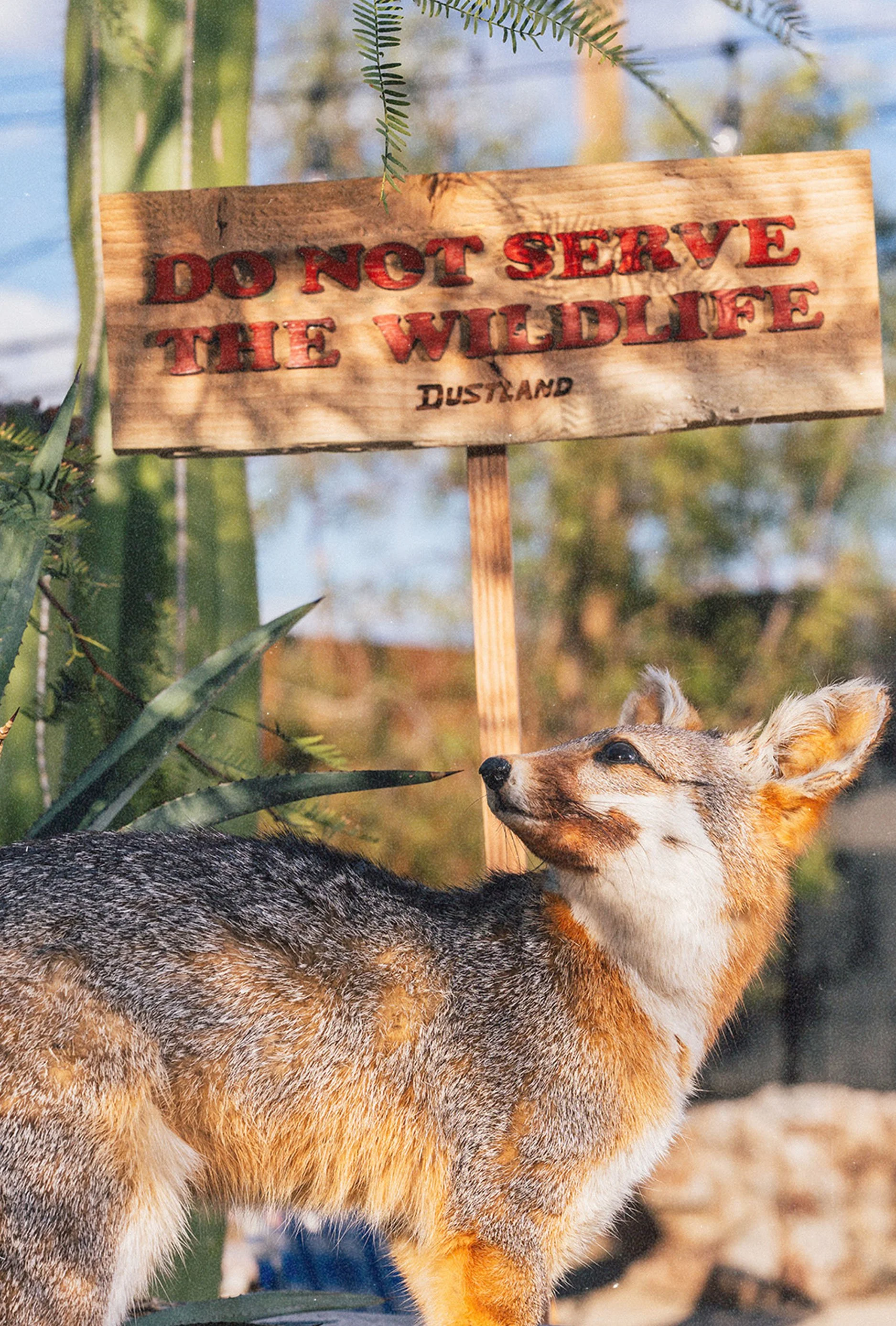 Spring bookletINSIDE FRONT COVER.jpg