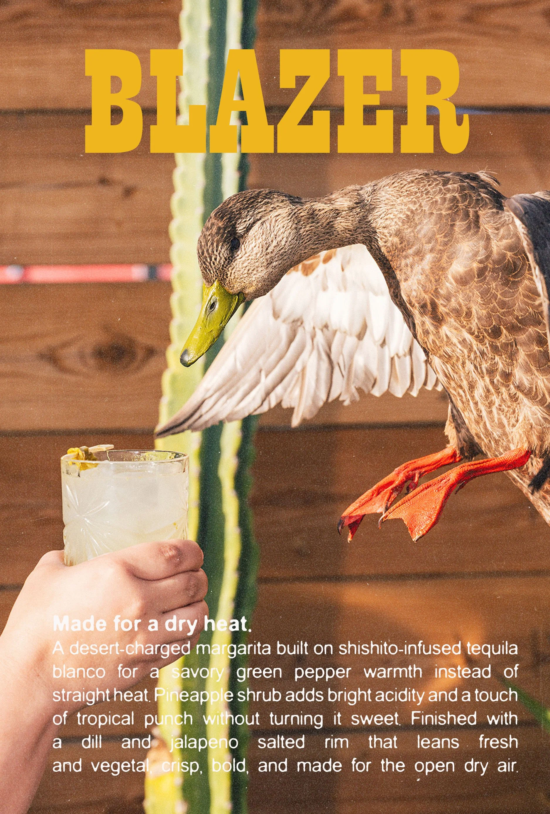 Spring bookletPAGE 6.jpg