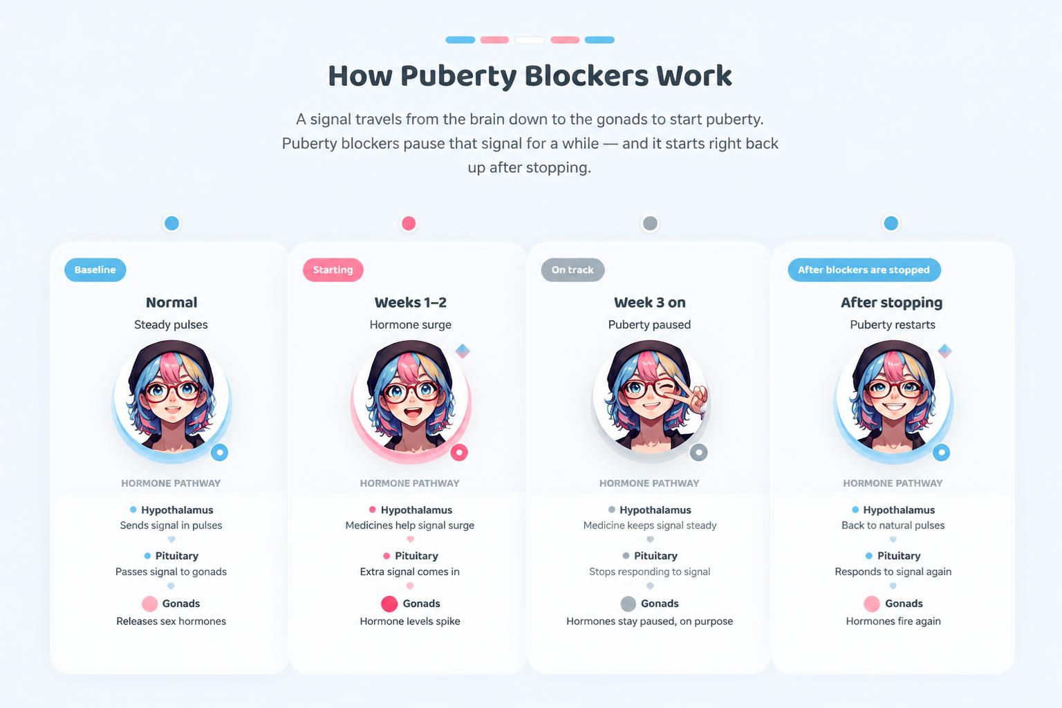 Puberty Blockers: What They Are and How They Work