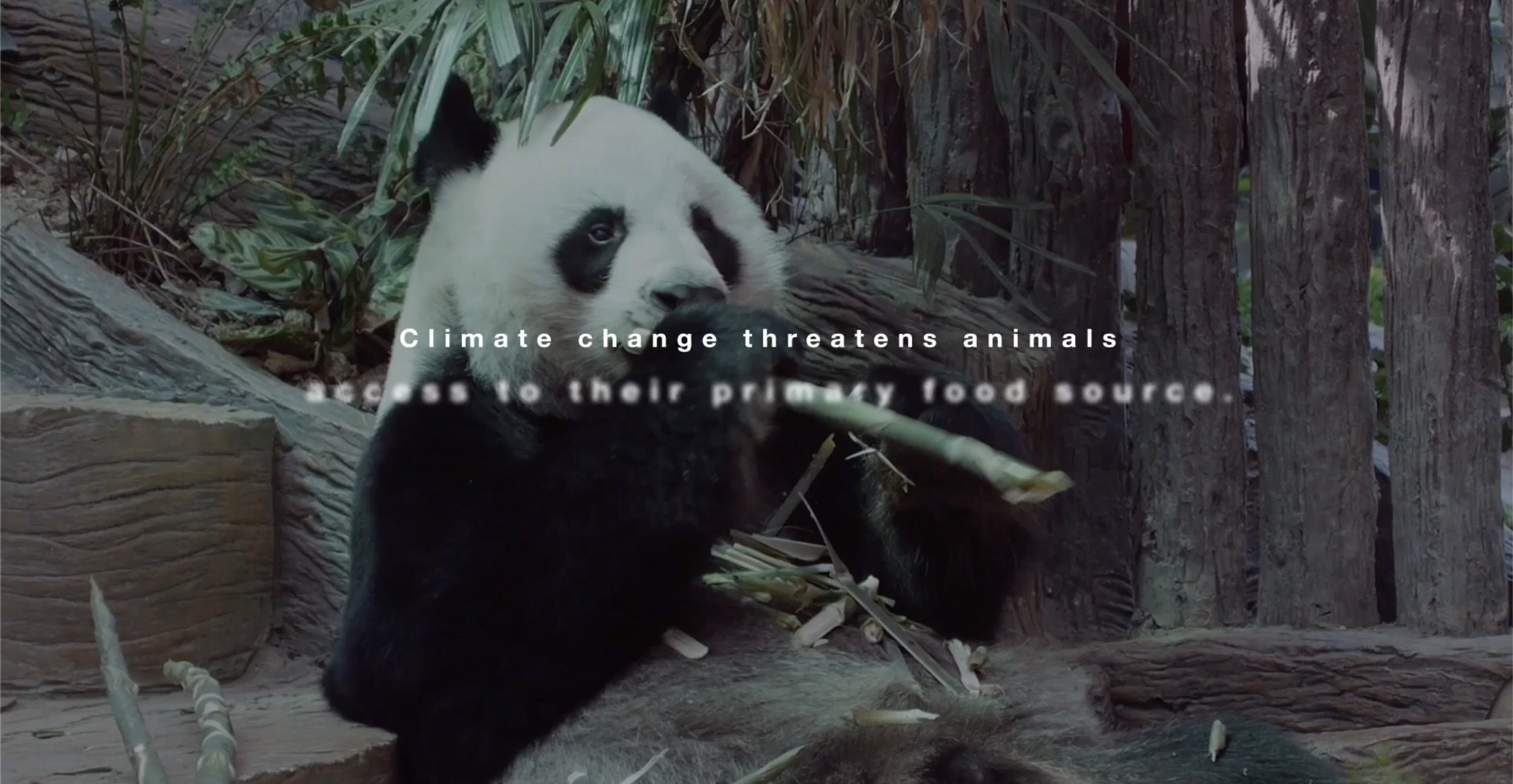 Documentary-Style Climate Change Awareness Video