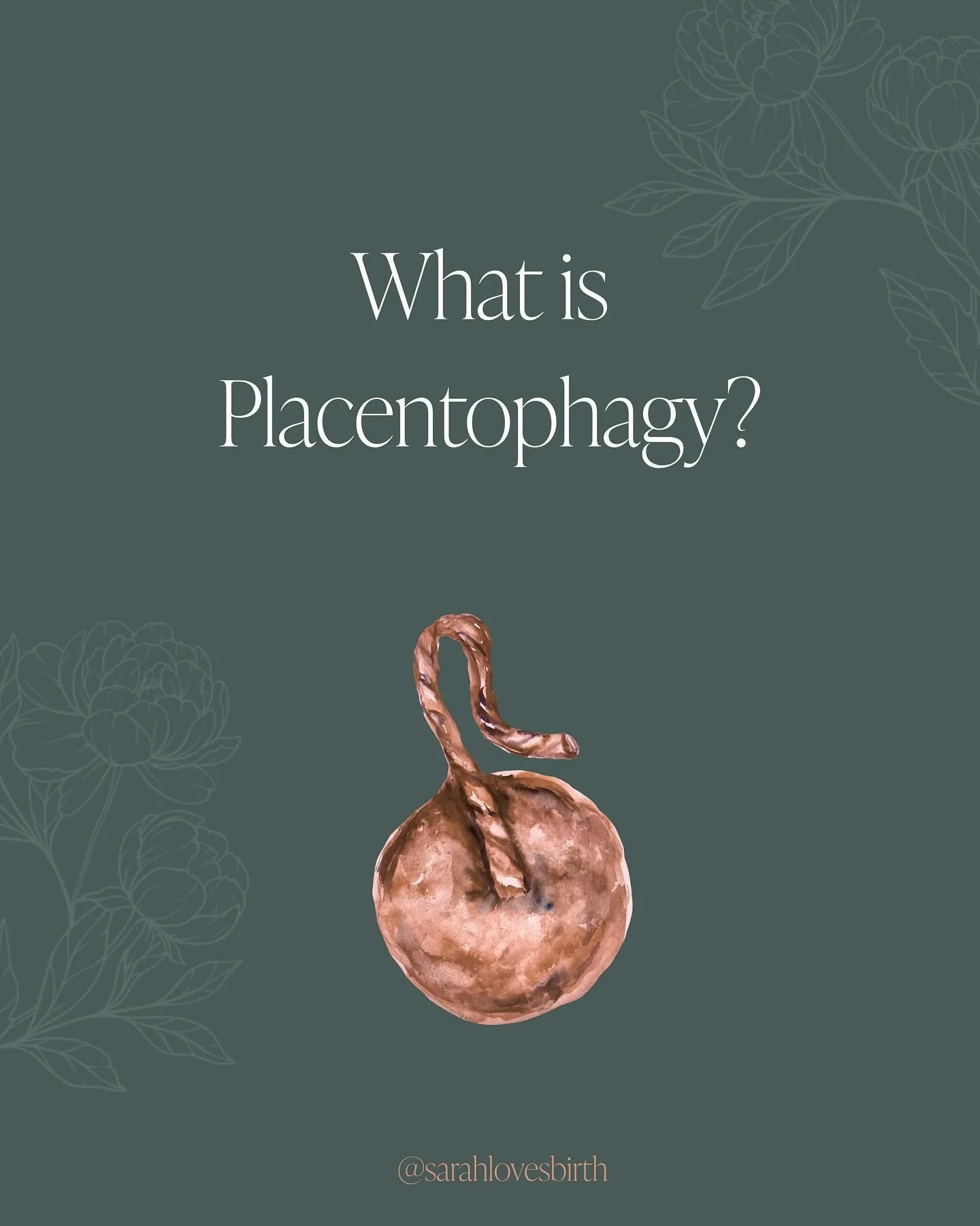 I&rsquo;m currently deep in my placenta encapsulation studies and OBSESSED with learning about this incredible organ.

Placentophagy is the intentional consumption of the human placenta, most commonly through encapsulation (dehydrated and put into ca