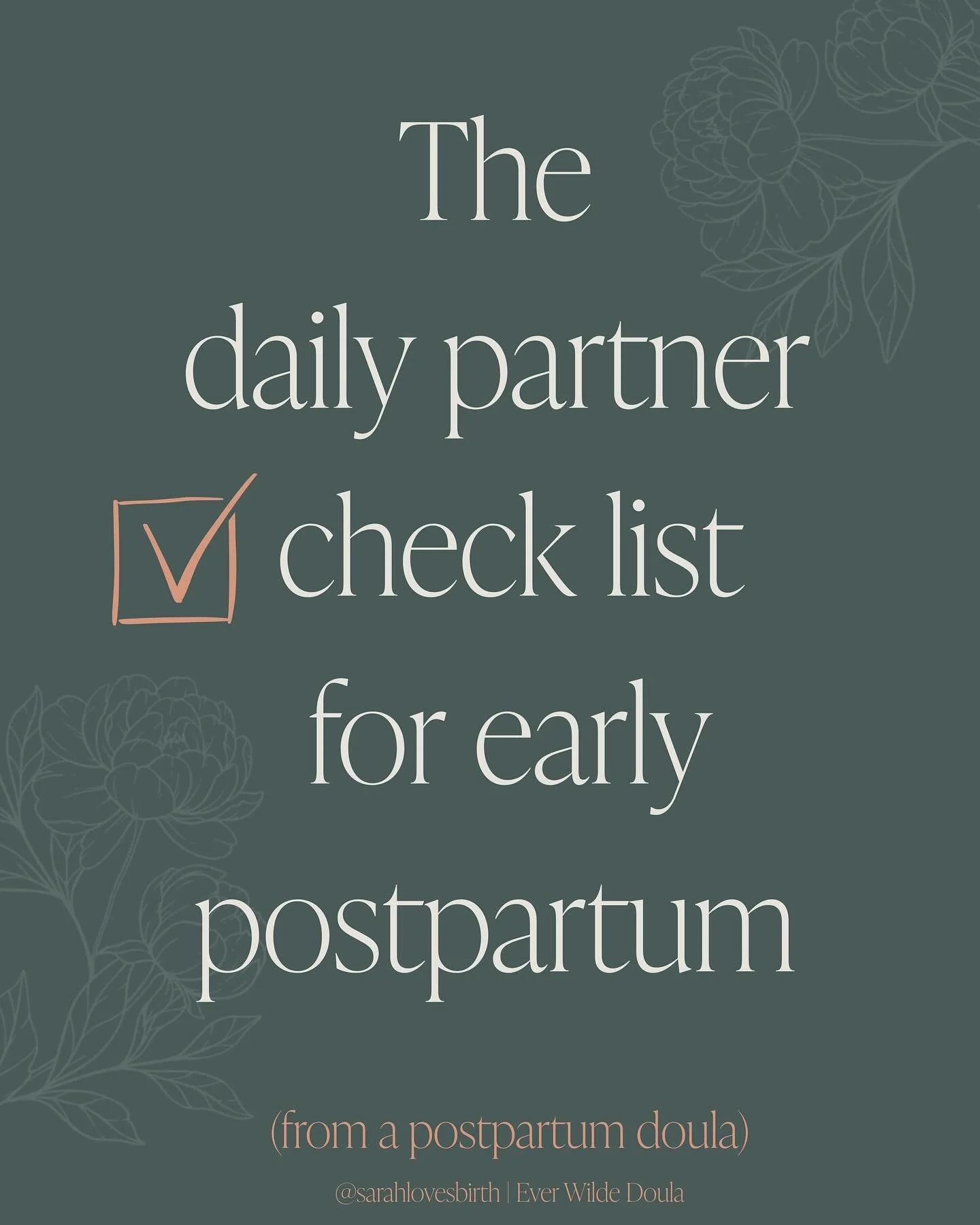 💕 Daily Partner Check List for the Postpartum Period 💜

When I support families in the early postpartum, one of the first resources I give them BEFORE birth is this check list. (I&rsquo;m looking at you, partners 👀)

Your significant other has jus