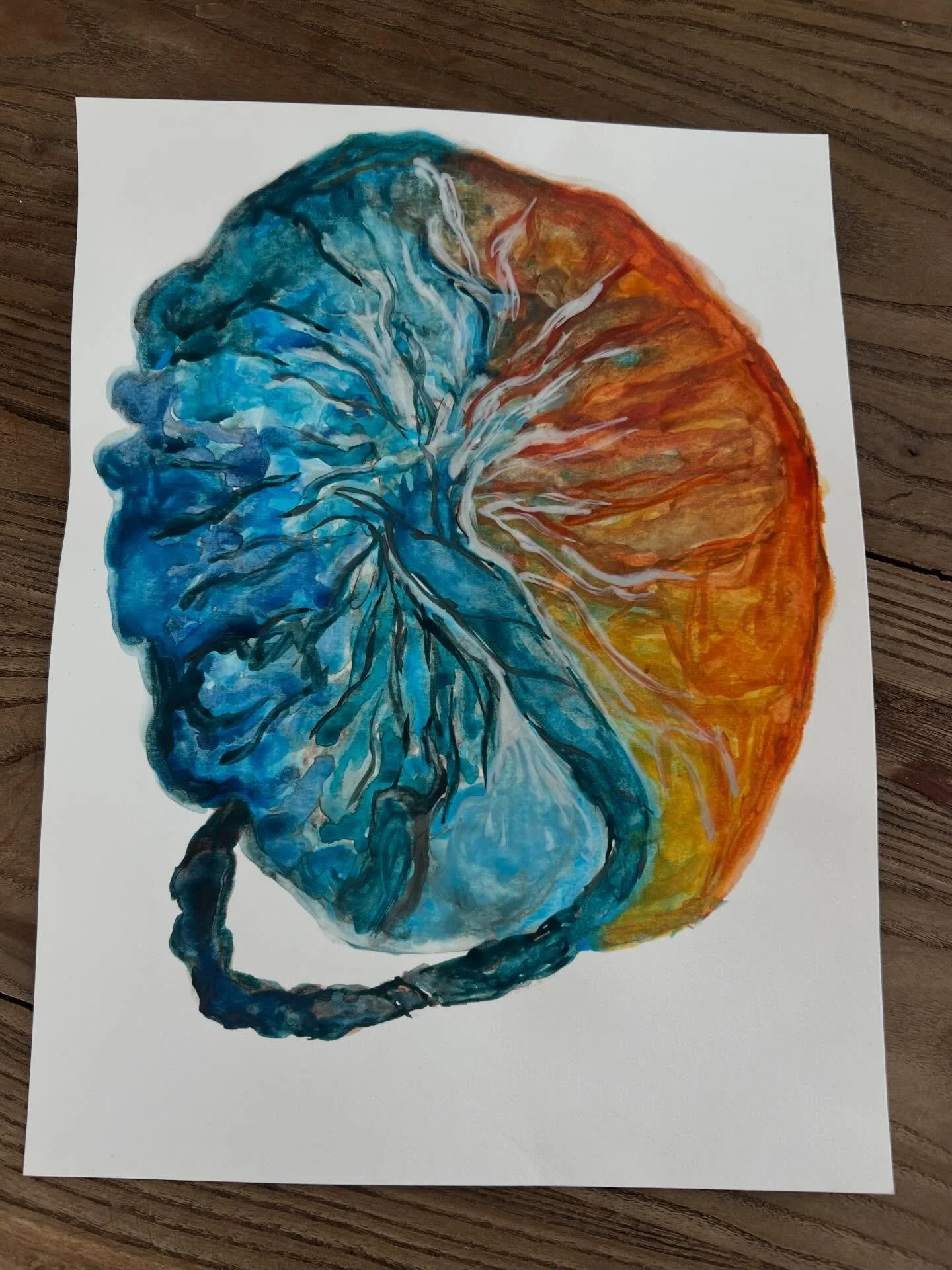 🎨 Placenta art for a special mama inspired by her happy place, the Hawaiian Islands 🏝️ Water color paint over placenta print. 

Print and painting by me 🙋🏻&zwj;♀️

#placentaart #doula #birthdoula #postpartumdoula #watercolor