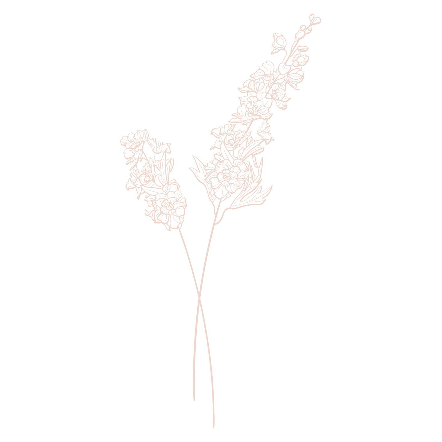 Outline drawing of two small floral branches against a black background.