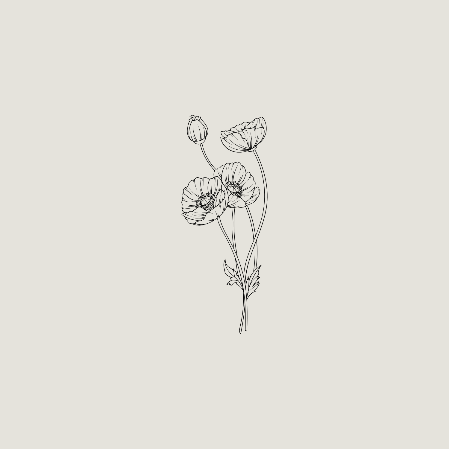 Line drawing of a bouquet of poppies with stems and leaves on a plain background.