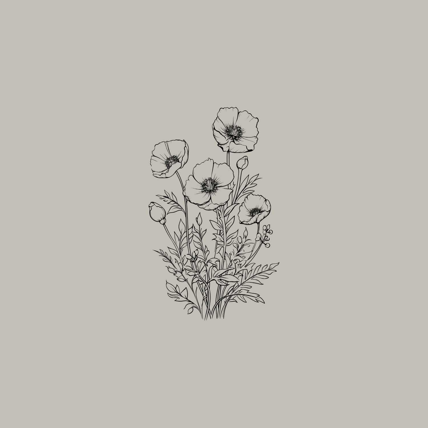 Black and white line drawing of poppy flowers with leaves on a light grey background.