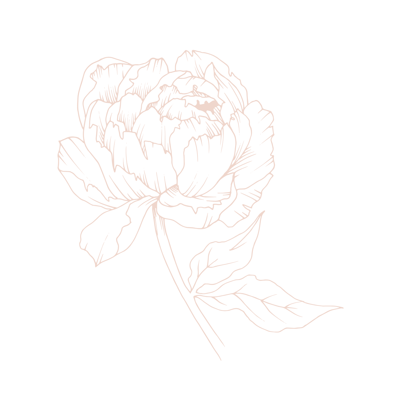 Line drawing of a rose with a stem and leaves on a black background.