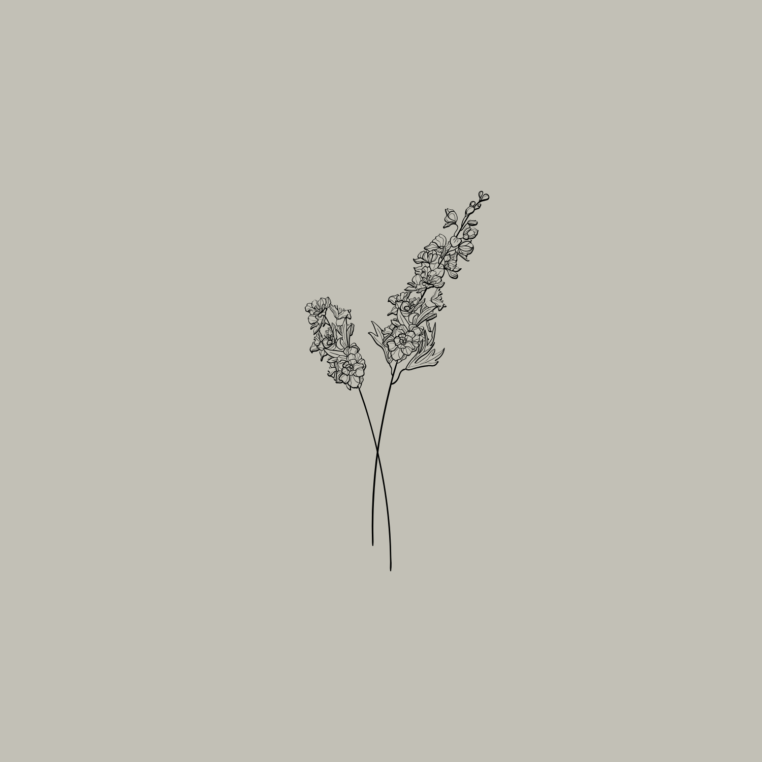 Black line drawing of two intertwined flowers on a light gray background.