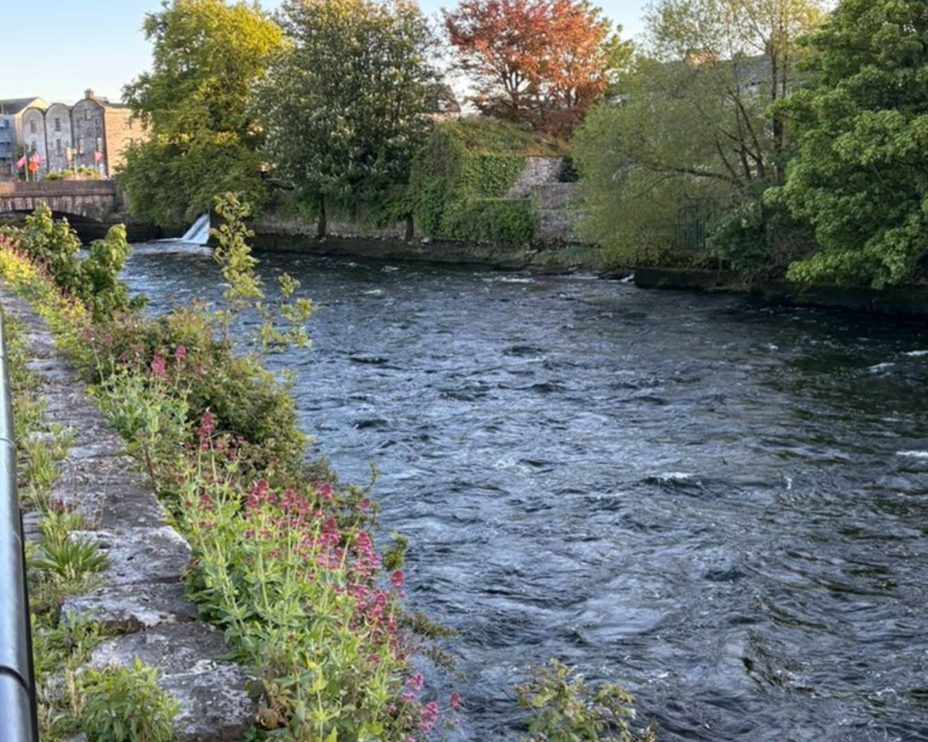 Galway_Corrib River.png