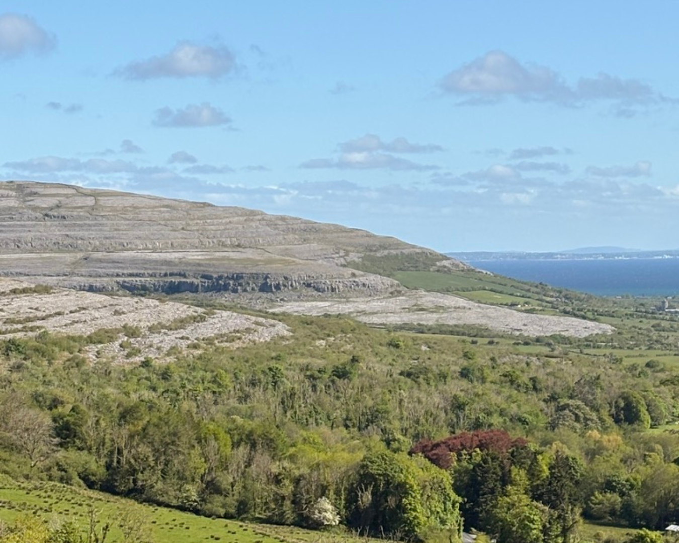 The Burren.png