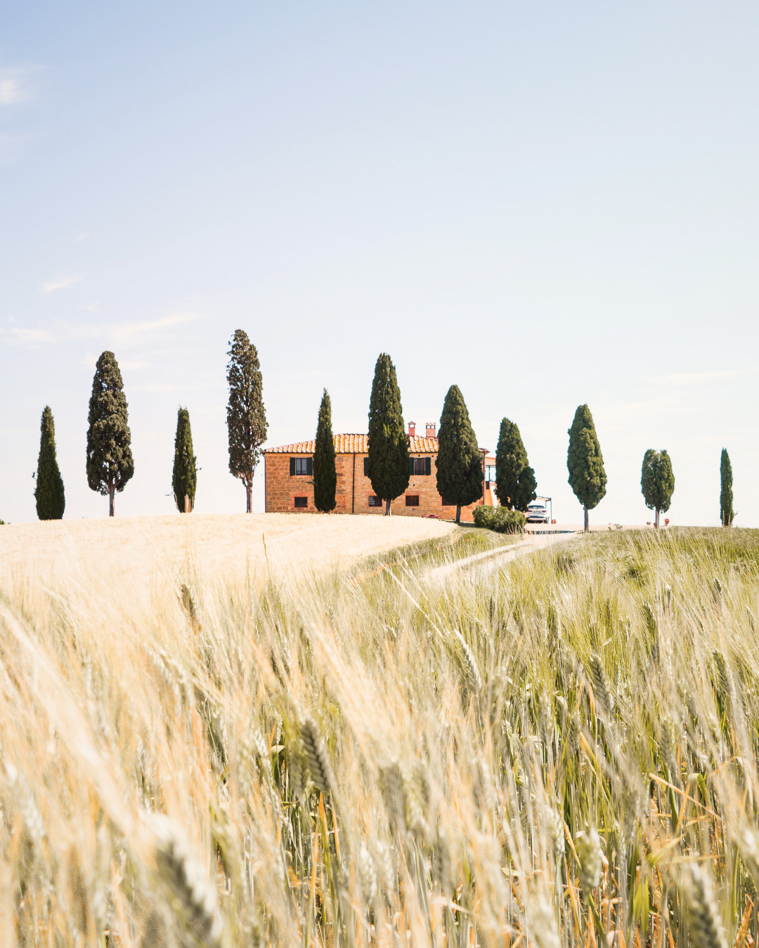 A countryside landscape with a row of tall cypress trees leading to a brick farmhouse on a hill, surrounded by lush fields and clear blue sky.