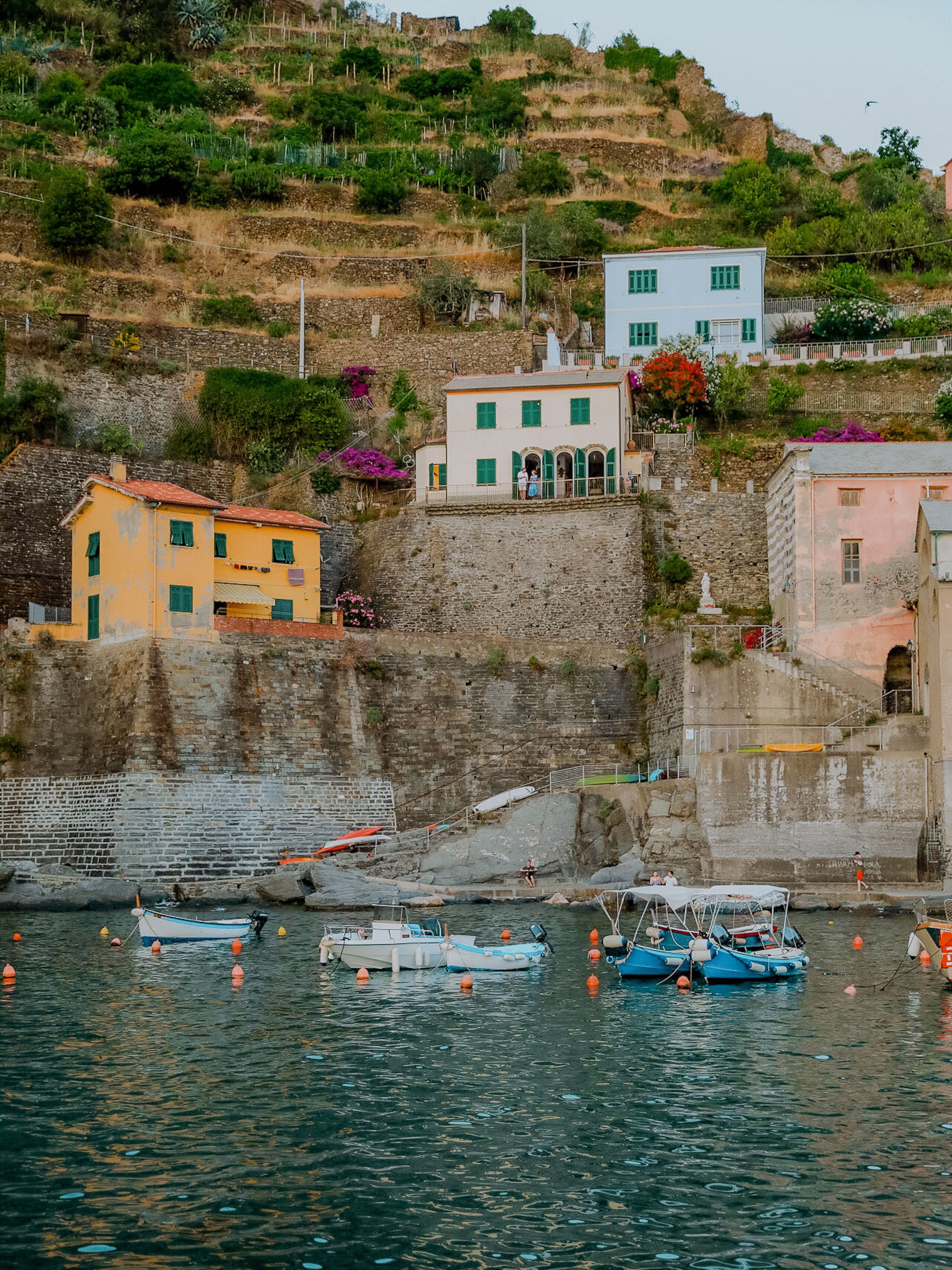 Colorful houses on a hillside overlooking a harbor with boats, in a coastal Italian town.