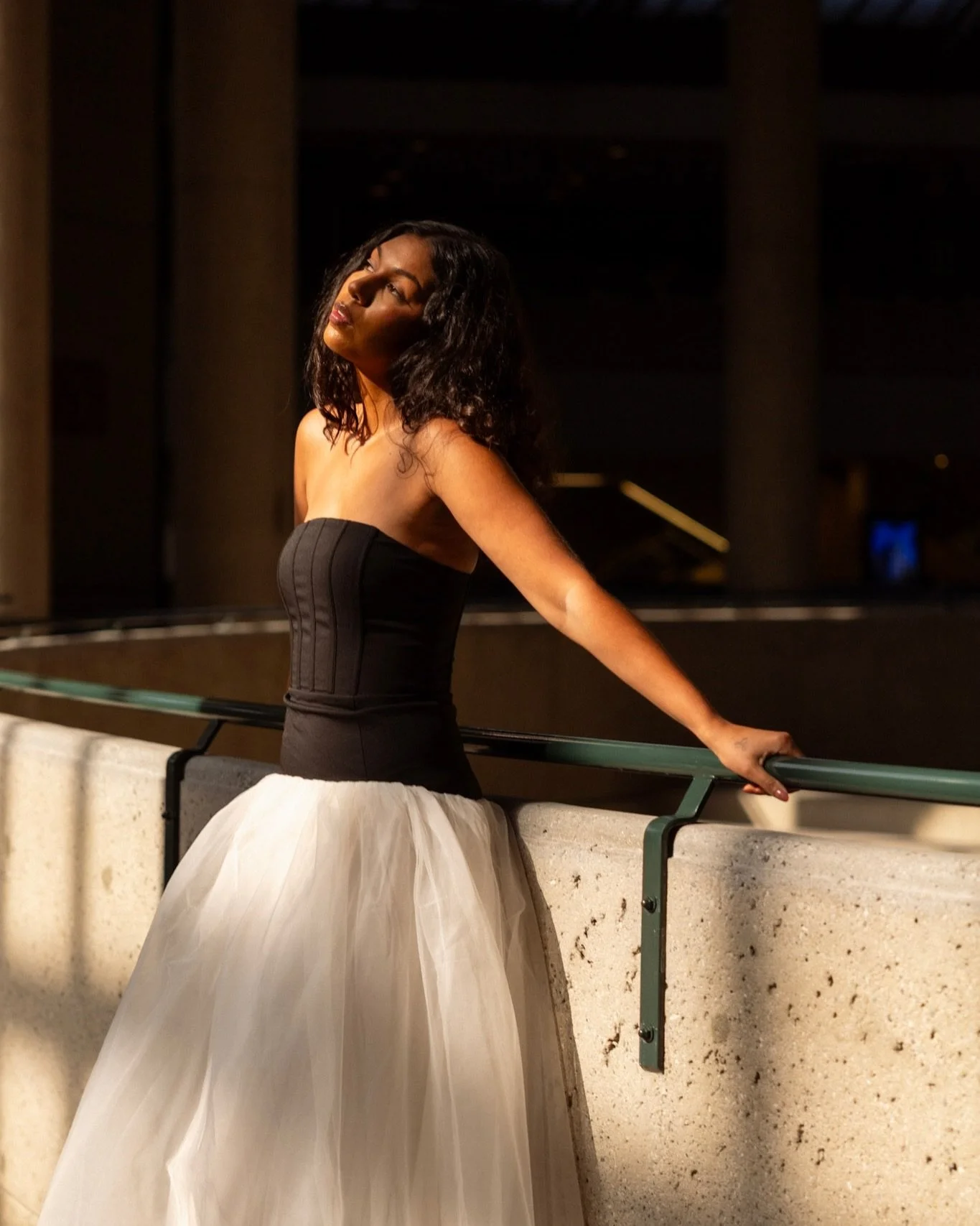 Golden hues captured in the early hours of the day 🍯