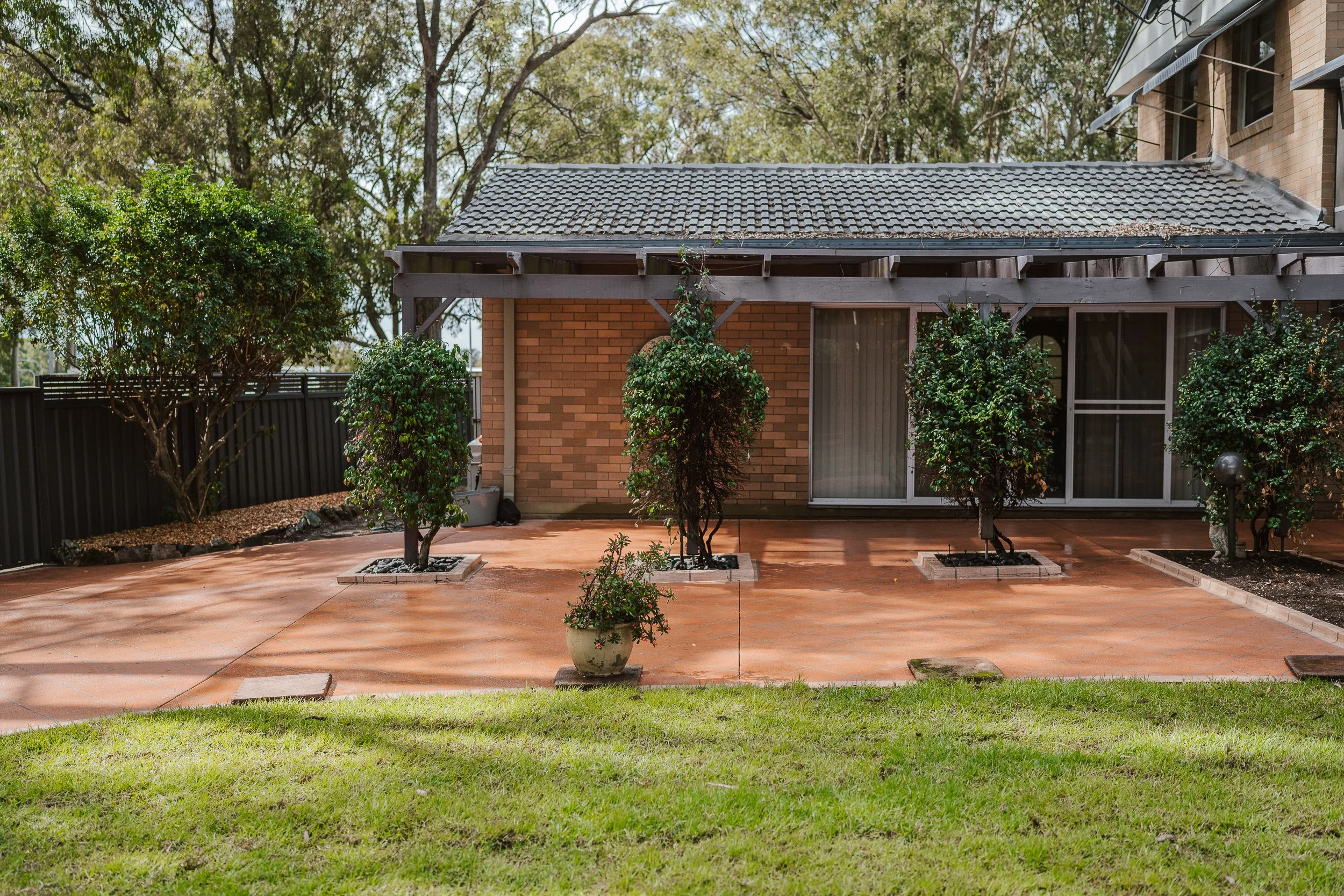 Hedge Trimming Services in Maitland, Newcastle &amp; the Hunter Valley (Copy)