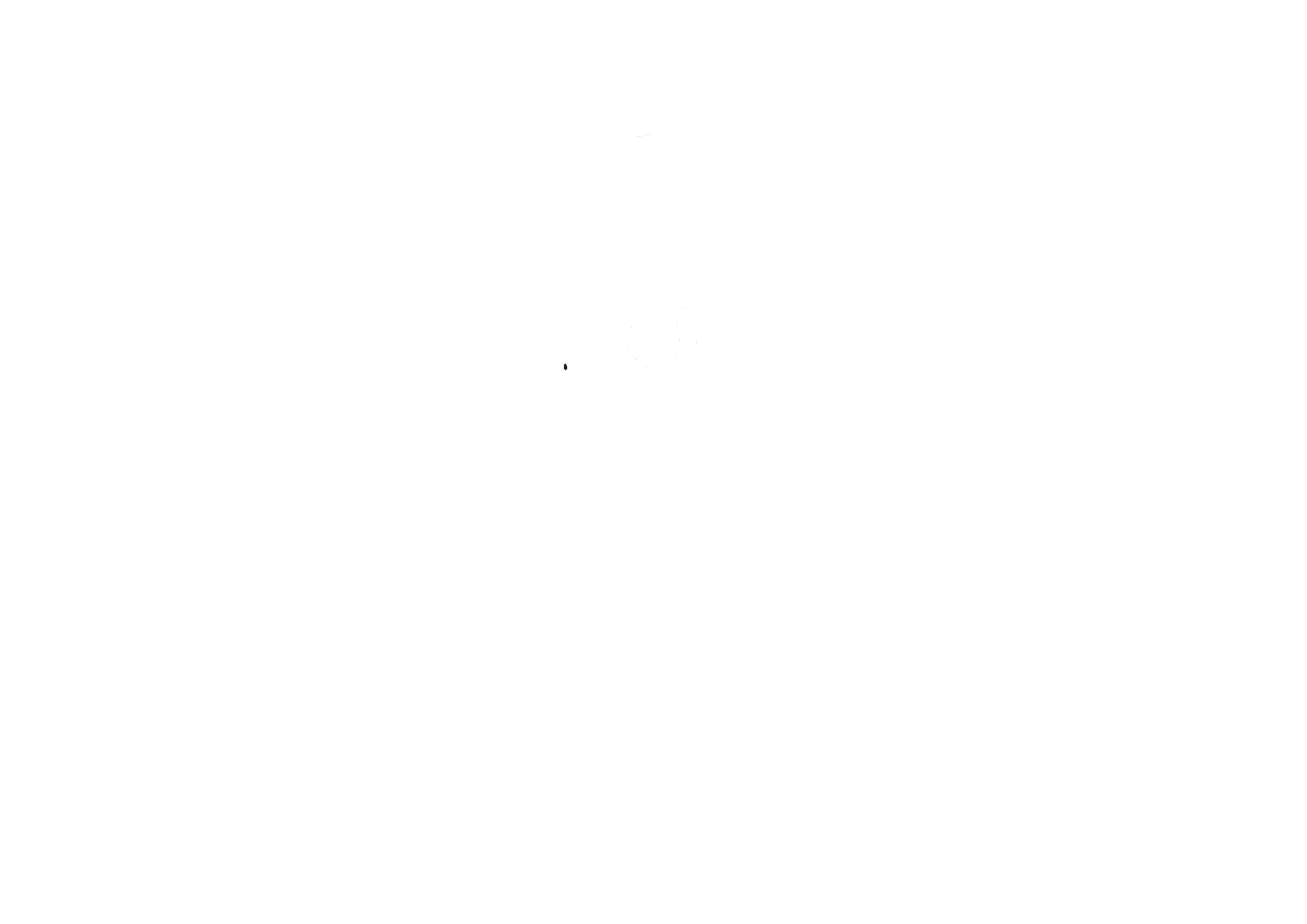 Frank Ritchie Racing.png