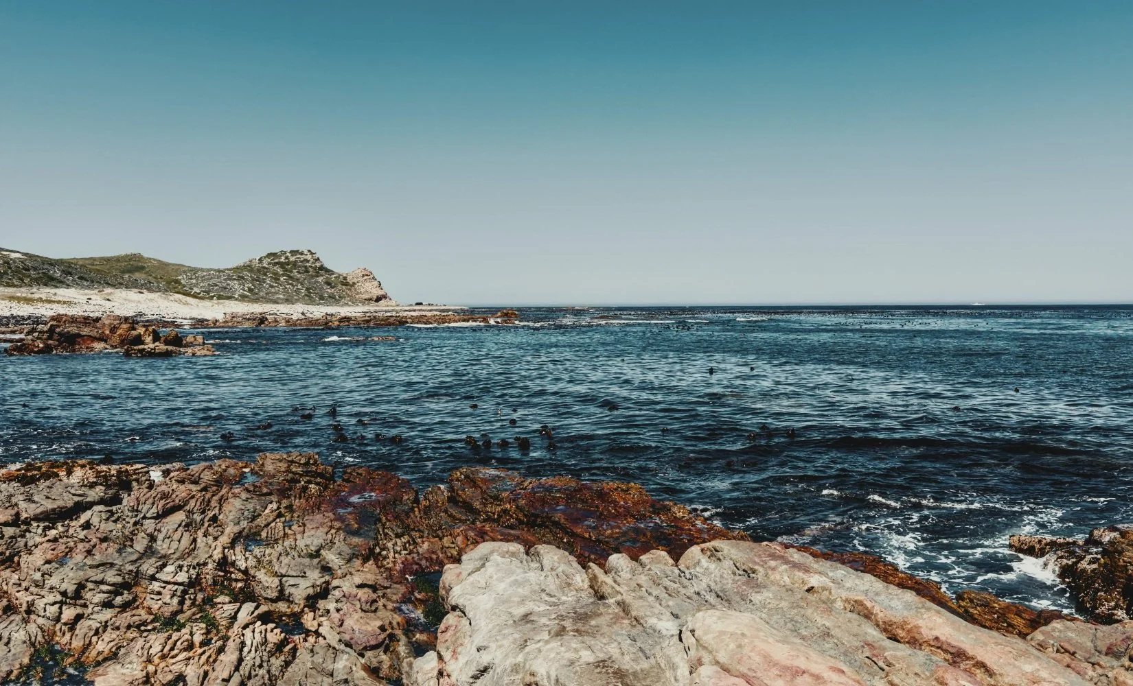 Cape of Good Hope, Most Southern-Western Point of Africa