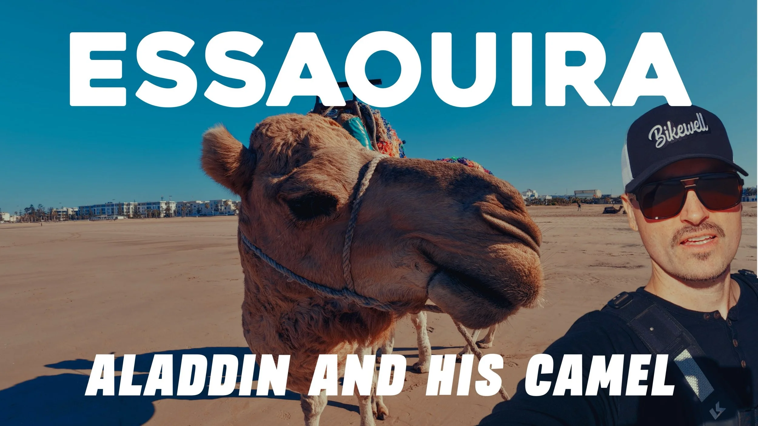 Met Camels on the Beach &amp; Found Sultan’s Ruins - Essaouira 🇲🇦