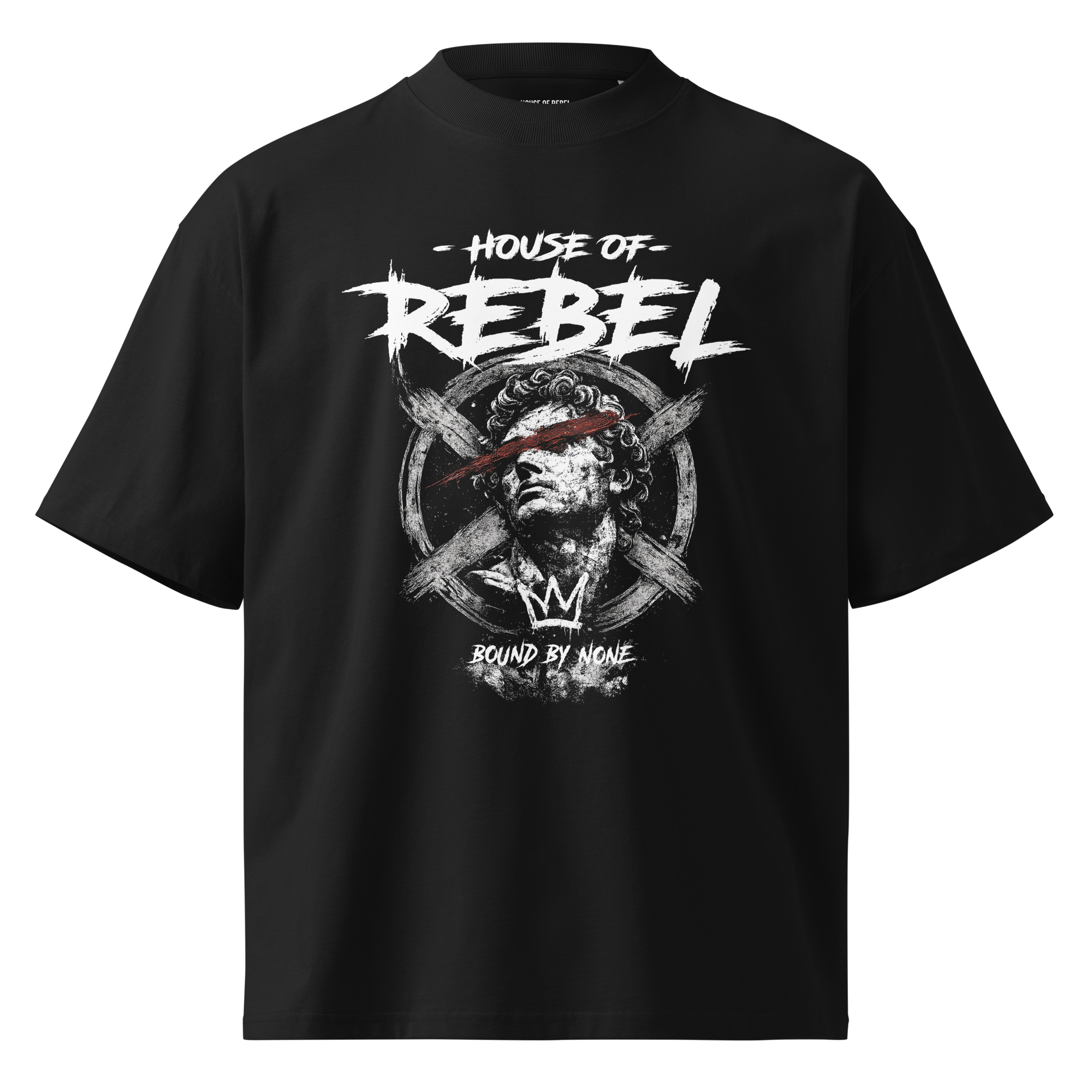 Unisex Organic Oversized Tee | Sacred Rebellion