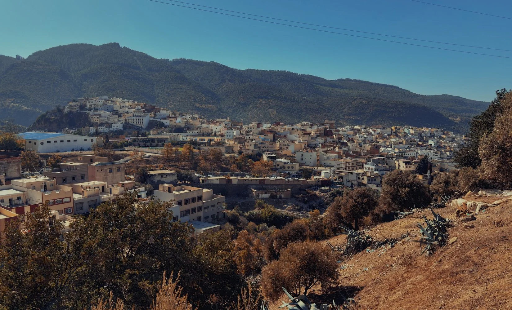 Moulay Idriss Zerhoun