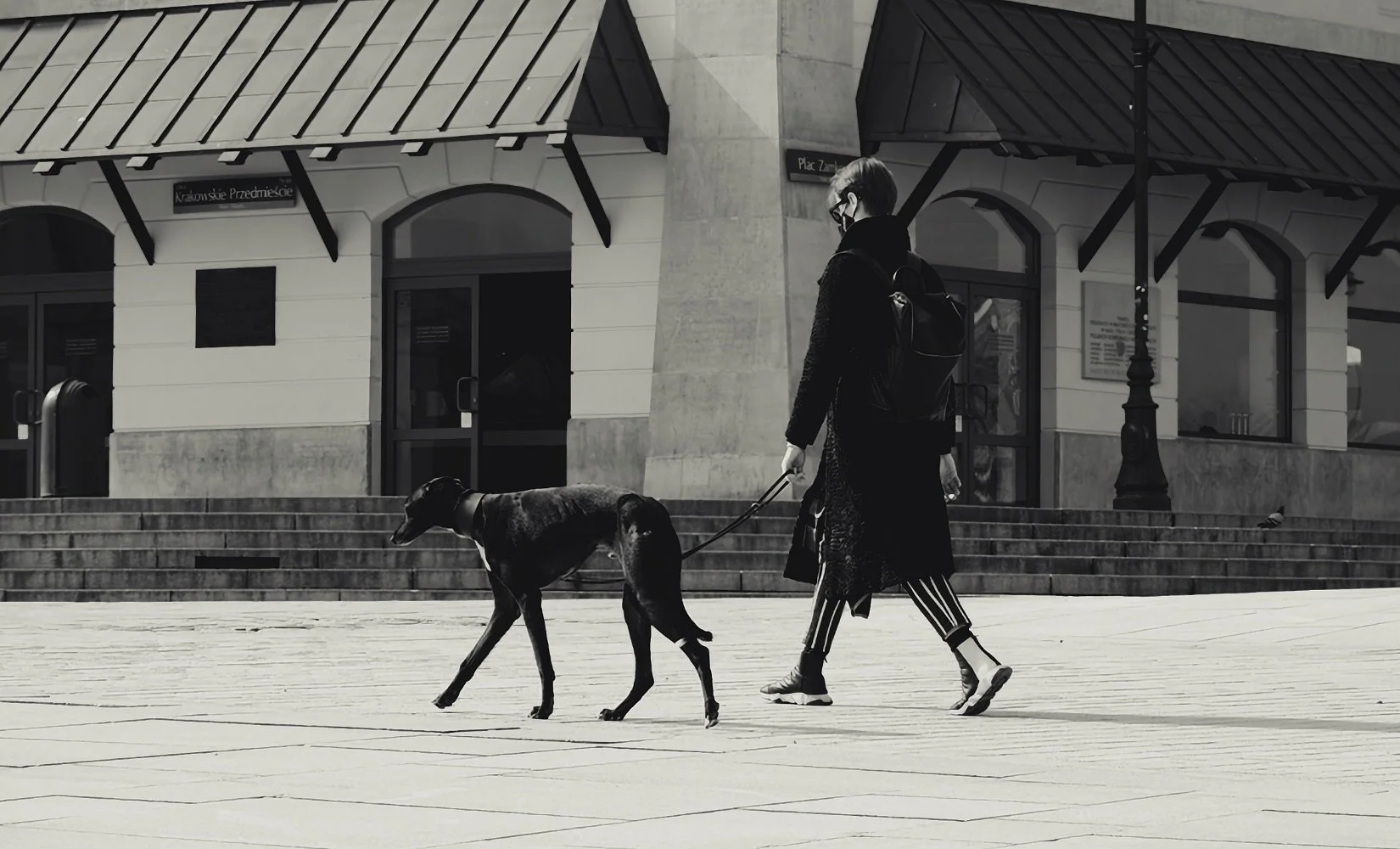 Sunday Stroll, Warsaw
