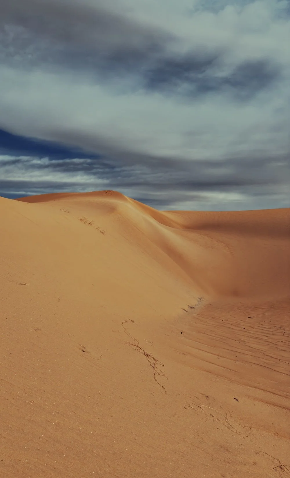 Desert of Tanouchert