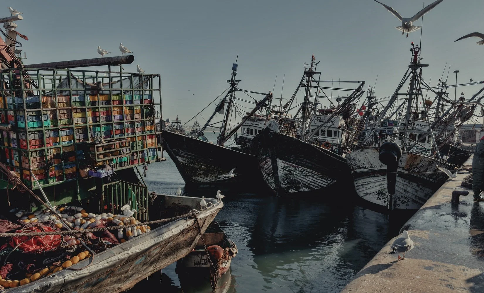 Fishing boats of Essaouira 
