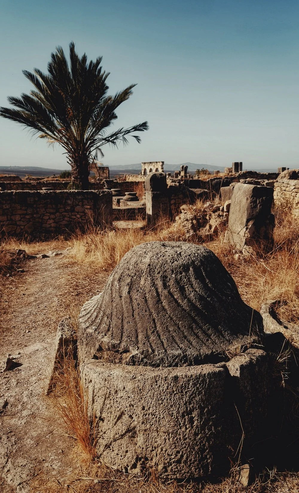 Roman Olive Press at Volubilis