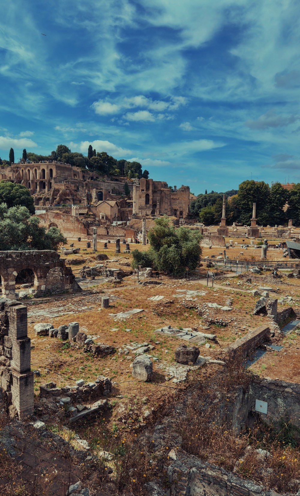 Roman Forum and Palatine Hill, Rome