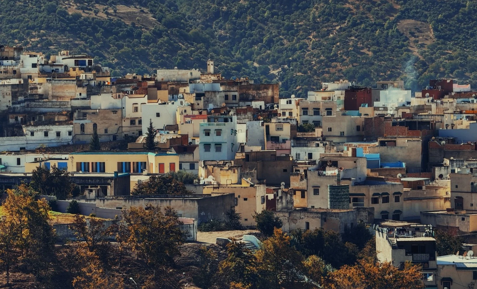 Moulay Idriss Zerhoun
