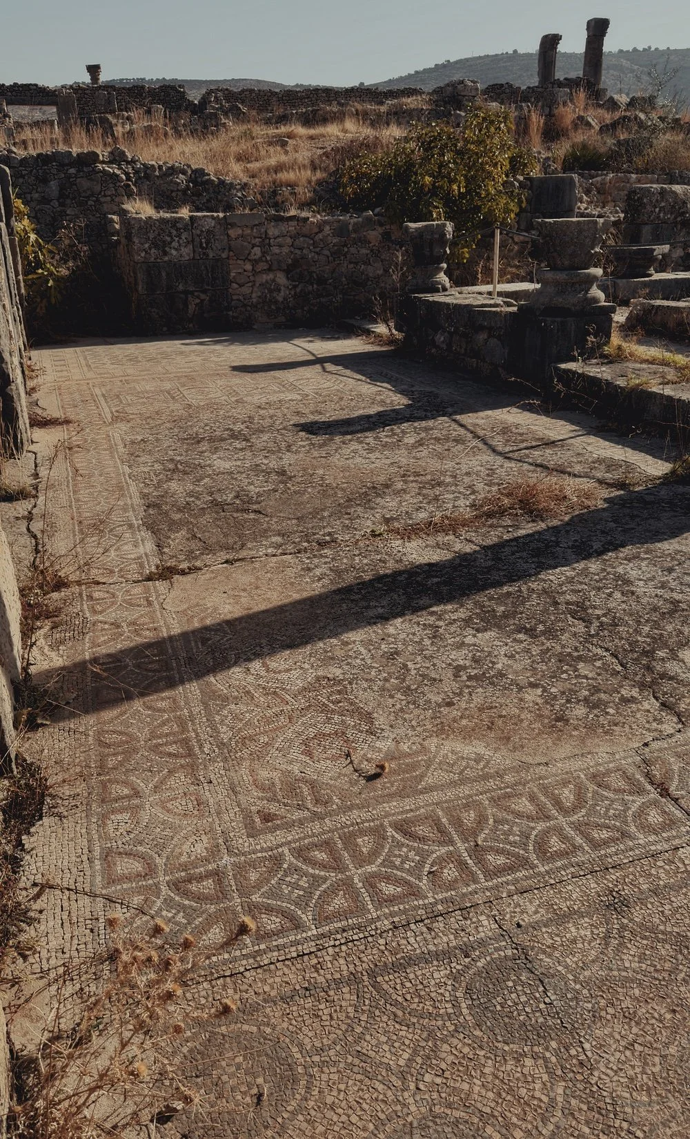 Berber-Roman Ruins at Volubilis