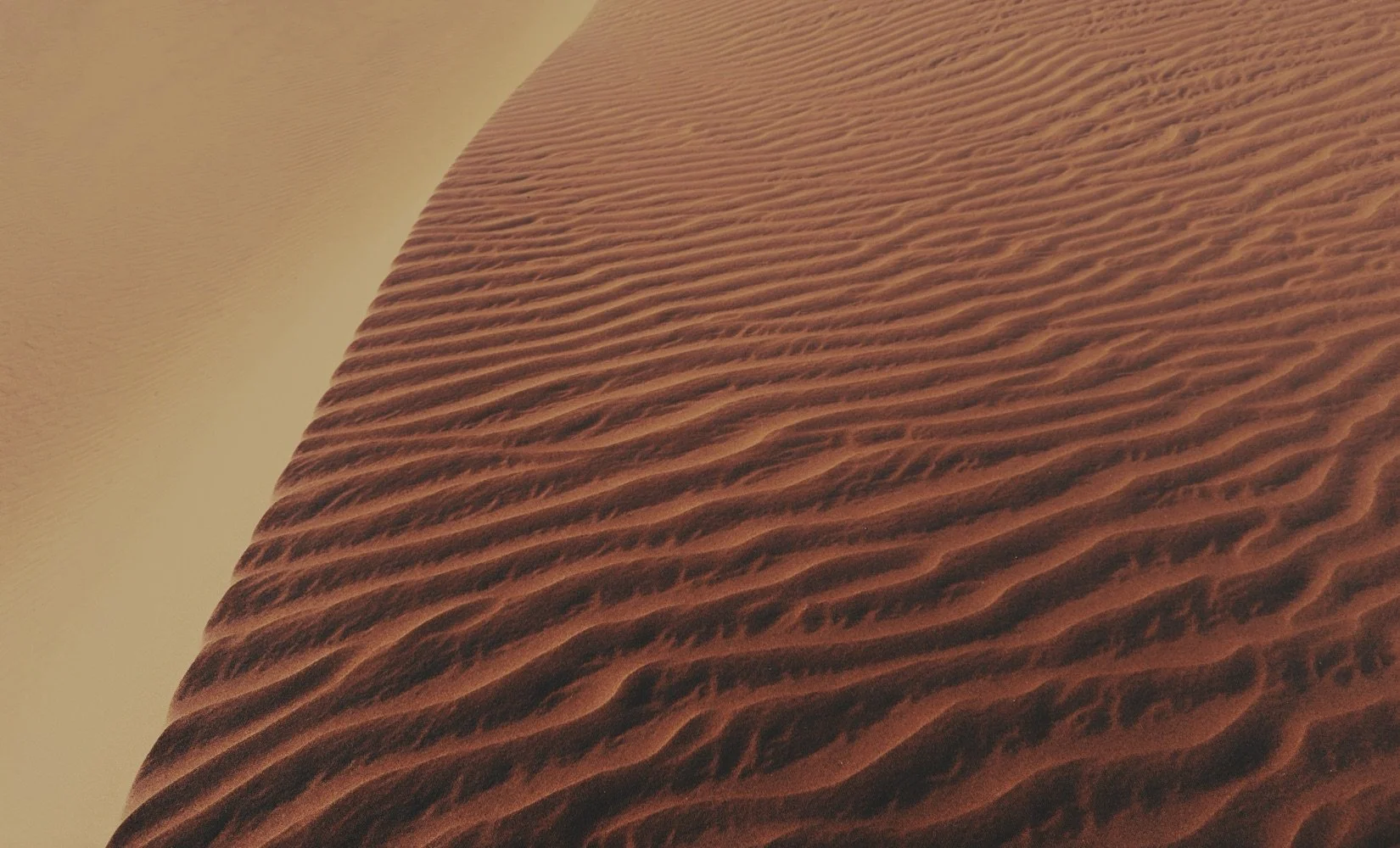 Sand Dunes of Tanouchert