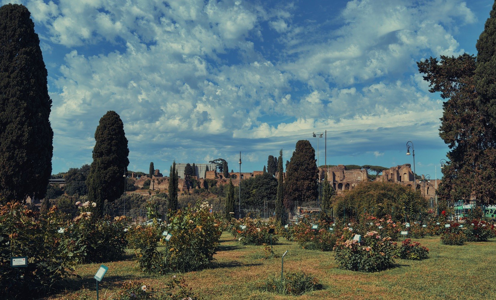 Rose Garden, Rome