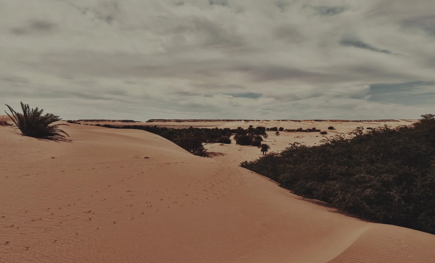 Oasis de Tanouchert