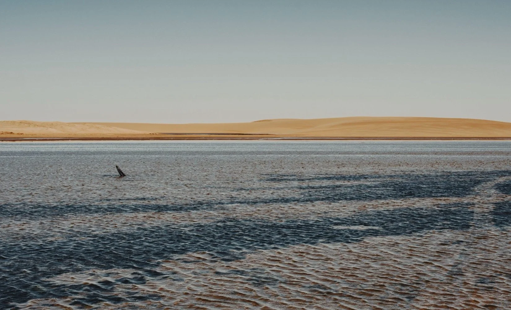 Walvis Bay Lagoon