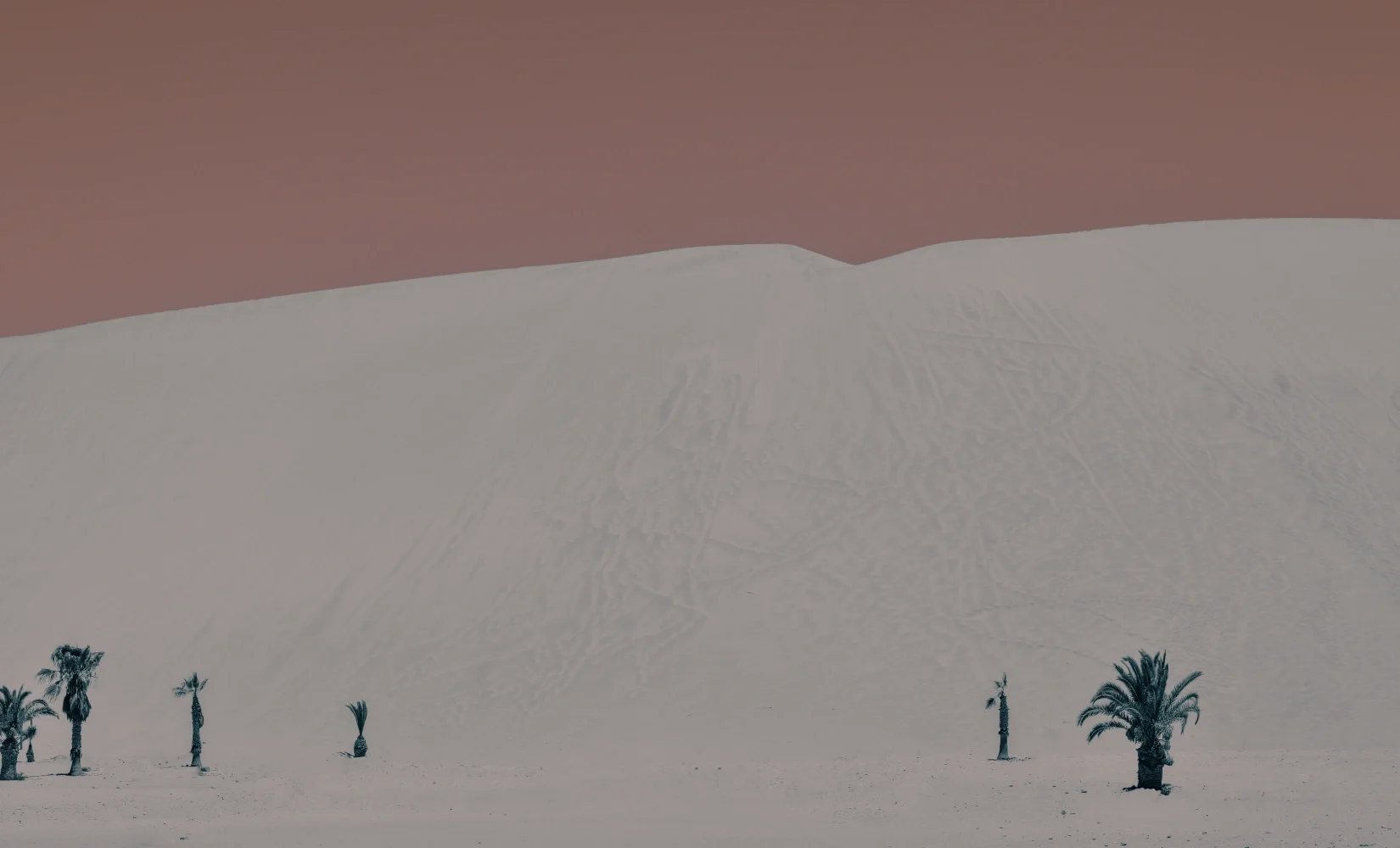 Dune 7, Walvis Bay