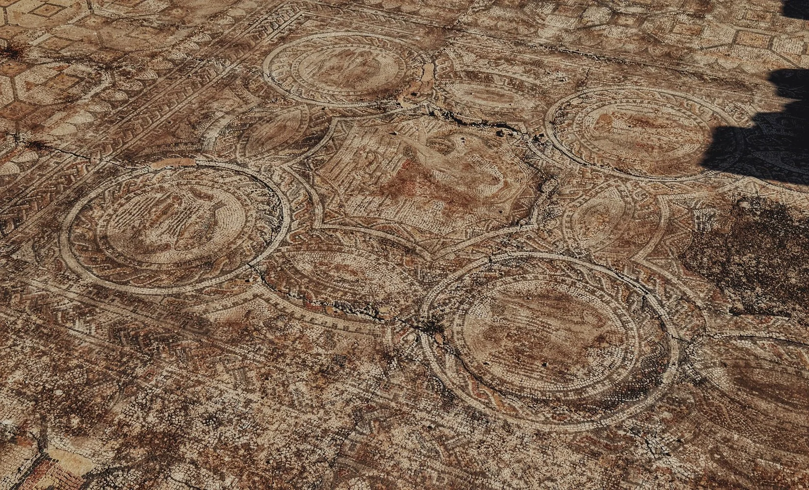 Berber-Roman Floor Mosaic at Volubilis