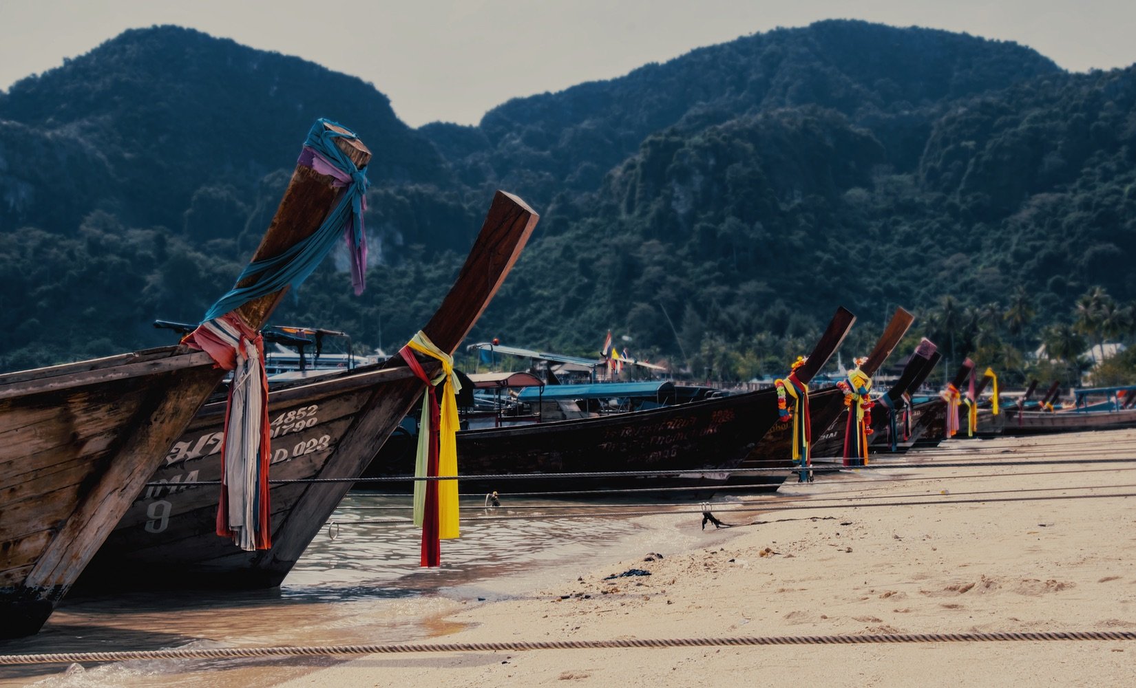 Long-tail boats, Phi Phi Islands, Thailand