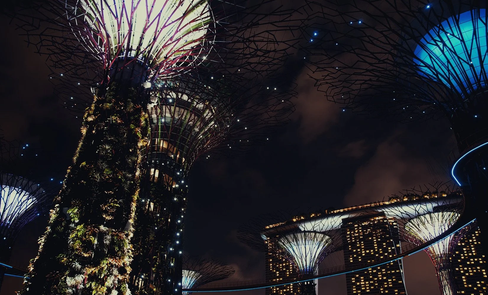 Gardens by the Bay, Singapore