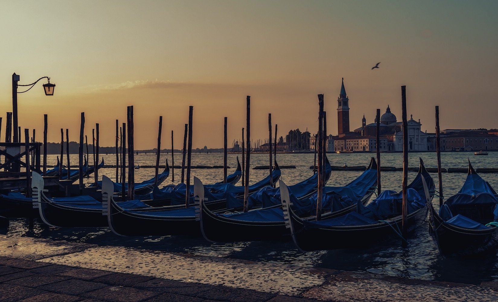 Gondolas of Grand Canal at Dawn, Venice