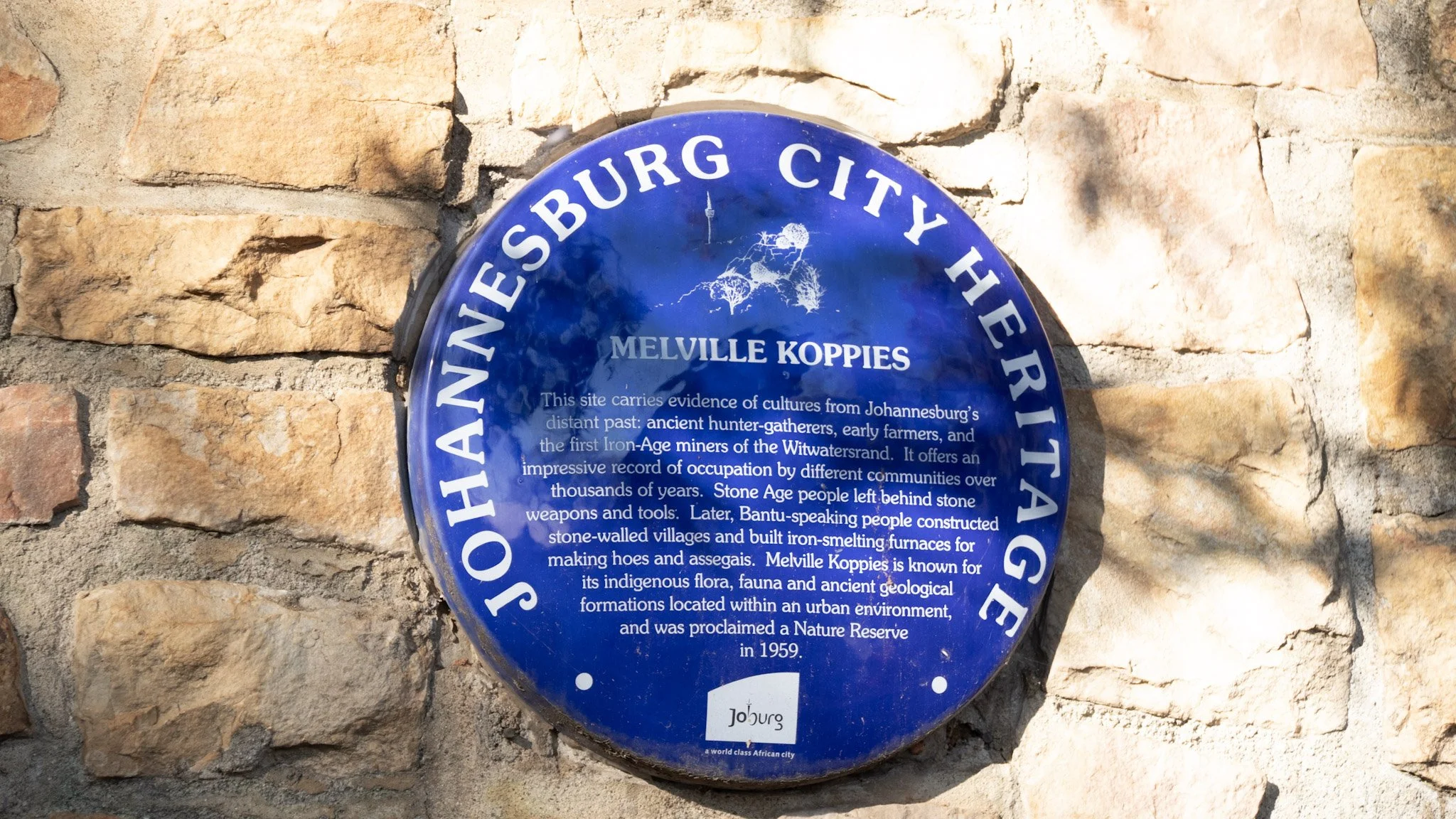 Melville_M130_051.jpg