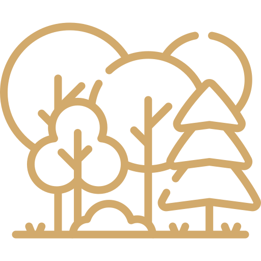 Illustration minimaliste d'arbres dans un style simple et outline de couleur beige.