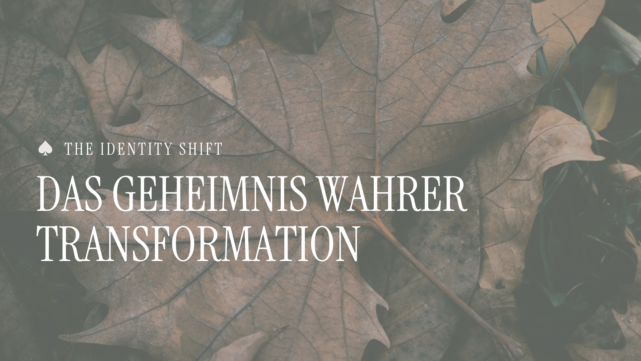 Das Geheimnis wahrer Transformation