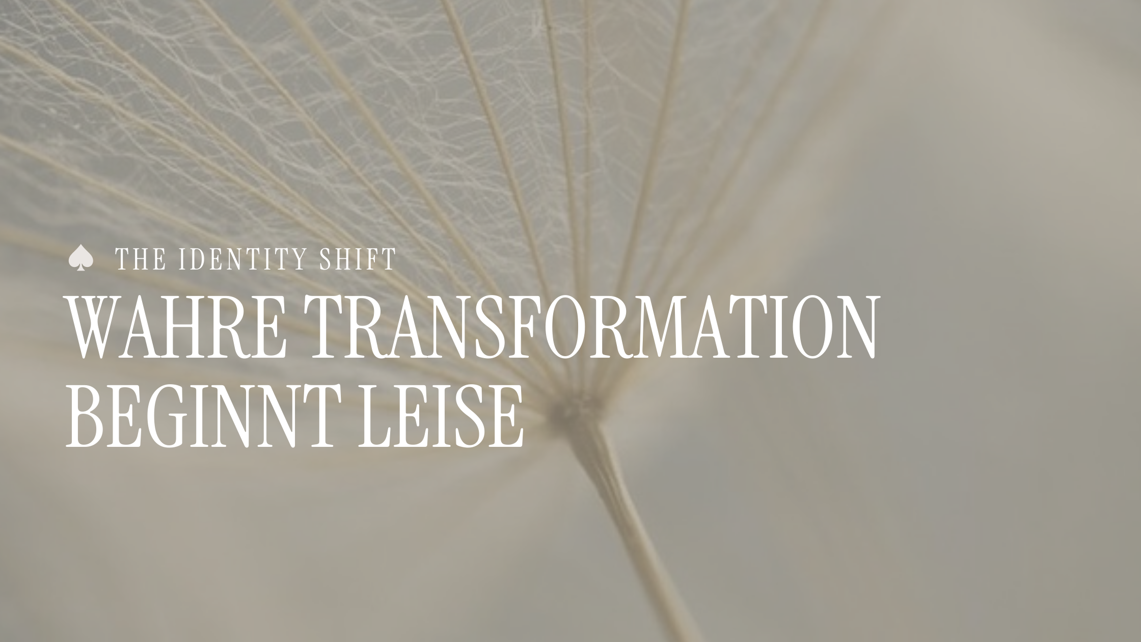 Wahre Transformation beginnt leise