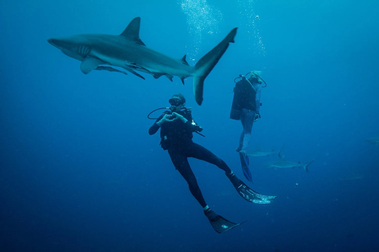 Queensland says no to single-use plastics